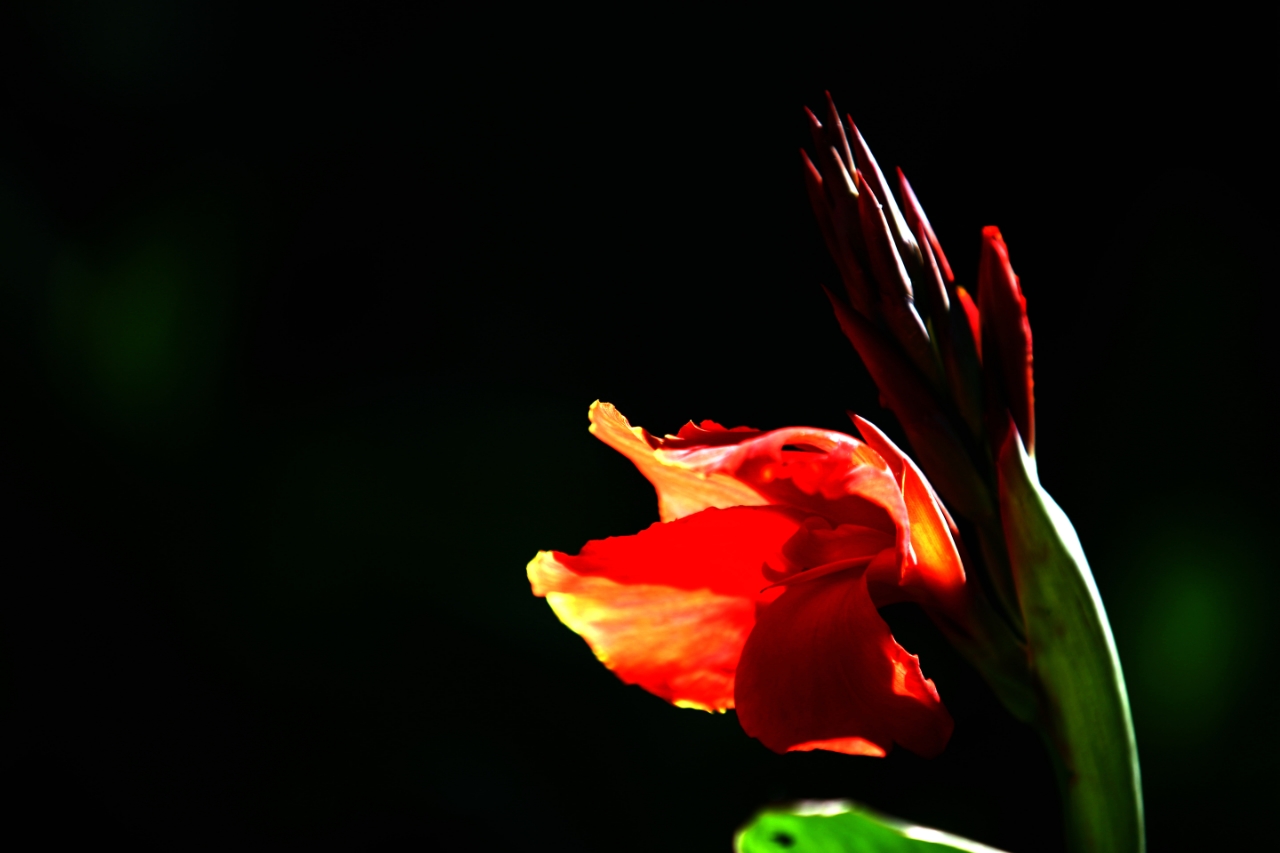 20180922_161040_1537613519105.jpg