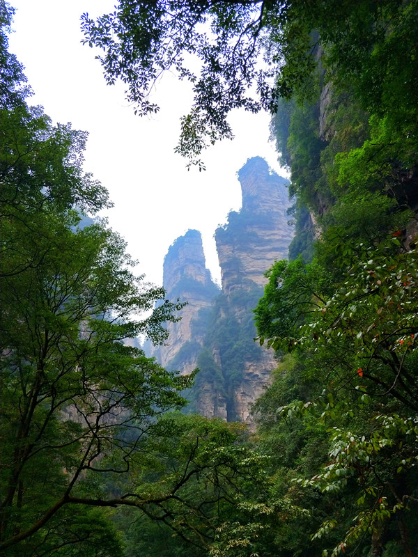 IMG20180915113725_����.jpg