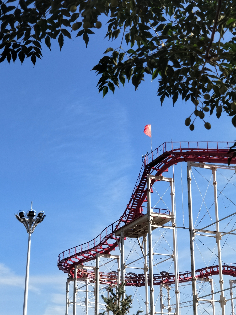 20180930_8888_1538287257462.jpg