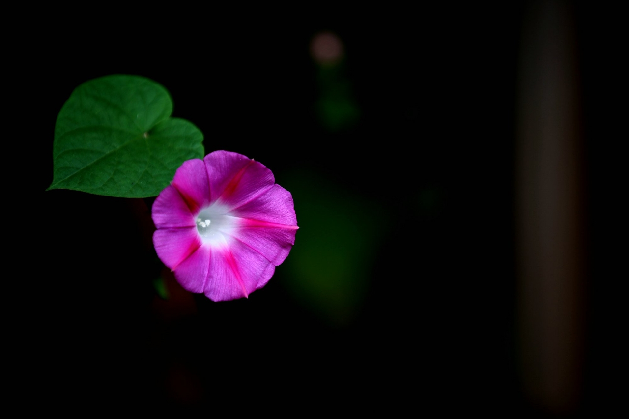 20181005_161040_1538744047716.jpg