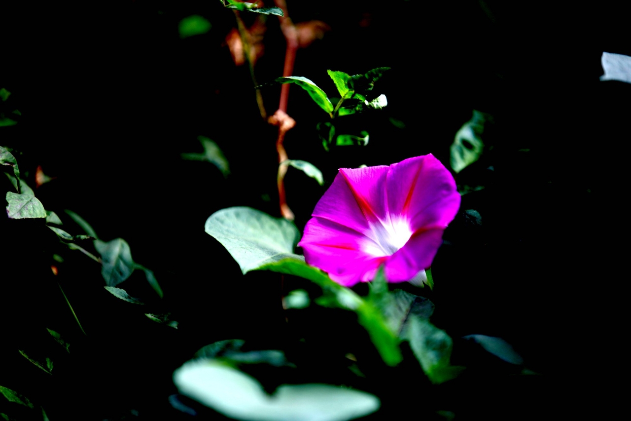 20181005_161040_1538744047975.jpg