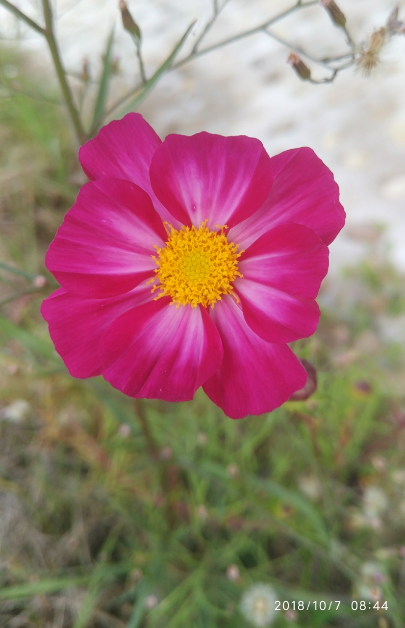 20181007_195627_1538888398273.jpg