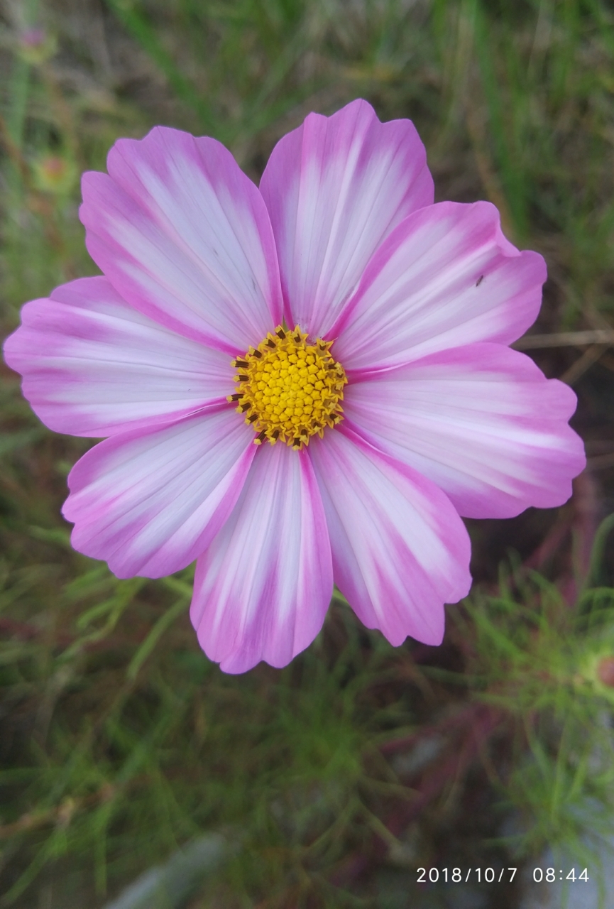 20181007_195627_1538888398604.jpg