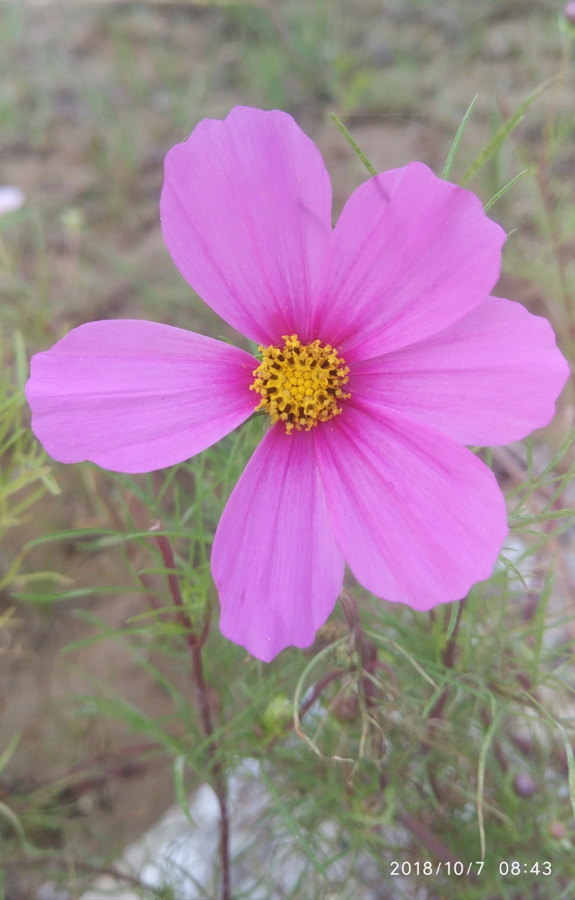 20181007_195627_1538888398774.jpg