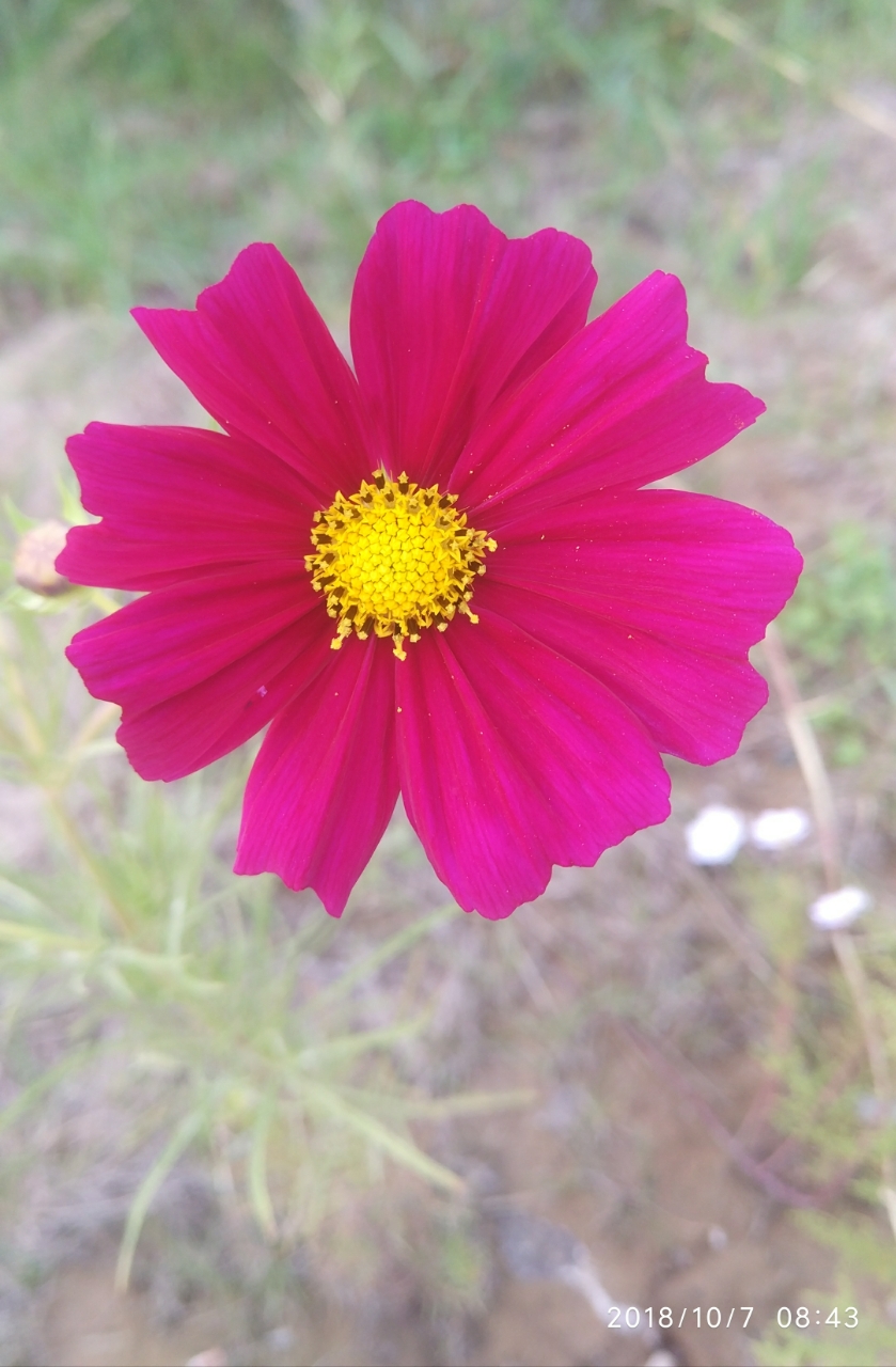 20181007_195627_1538888399246.jpg