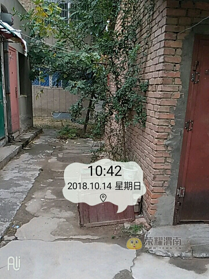 20181014_109616_1539528756320.jpg