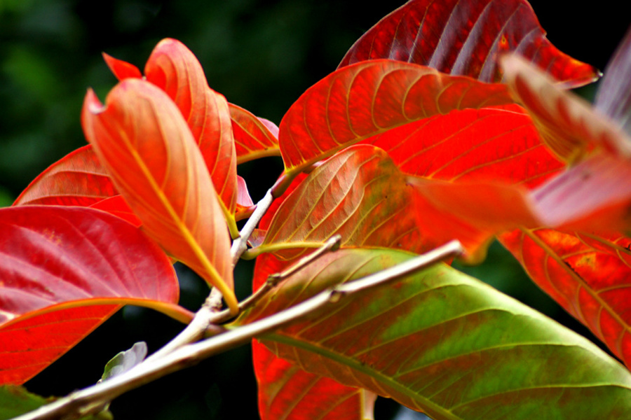 20141015_144325.jpg