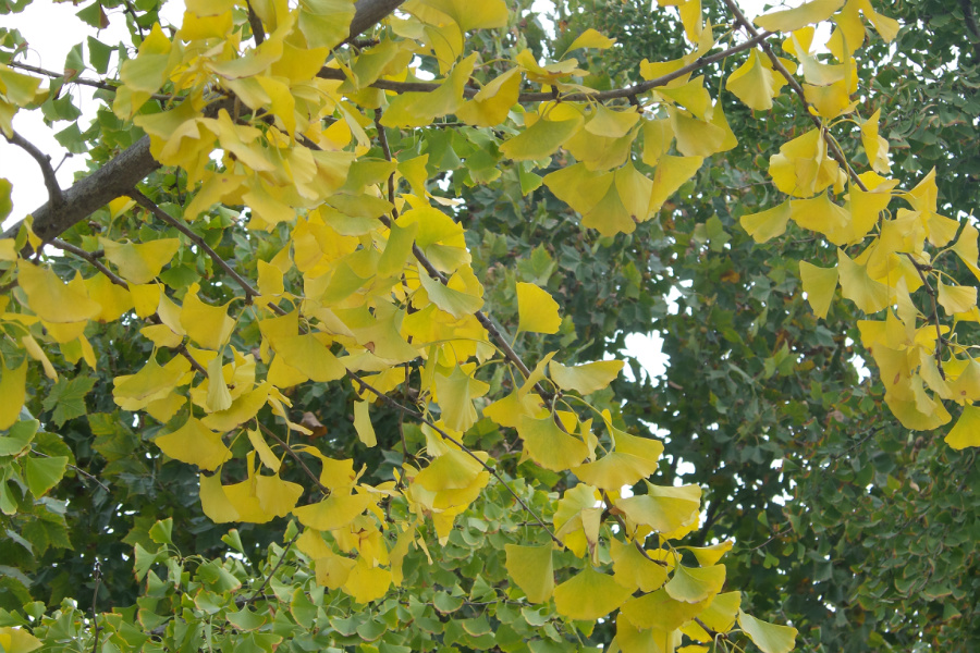 20181019_135735.jpg