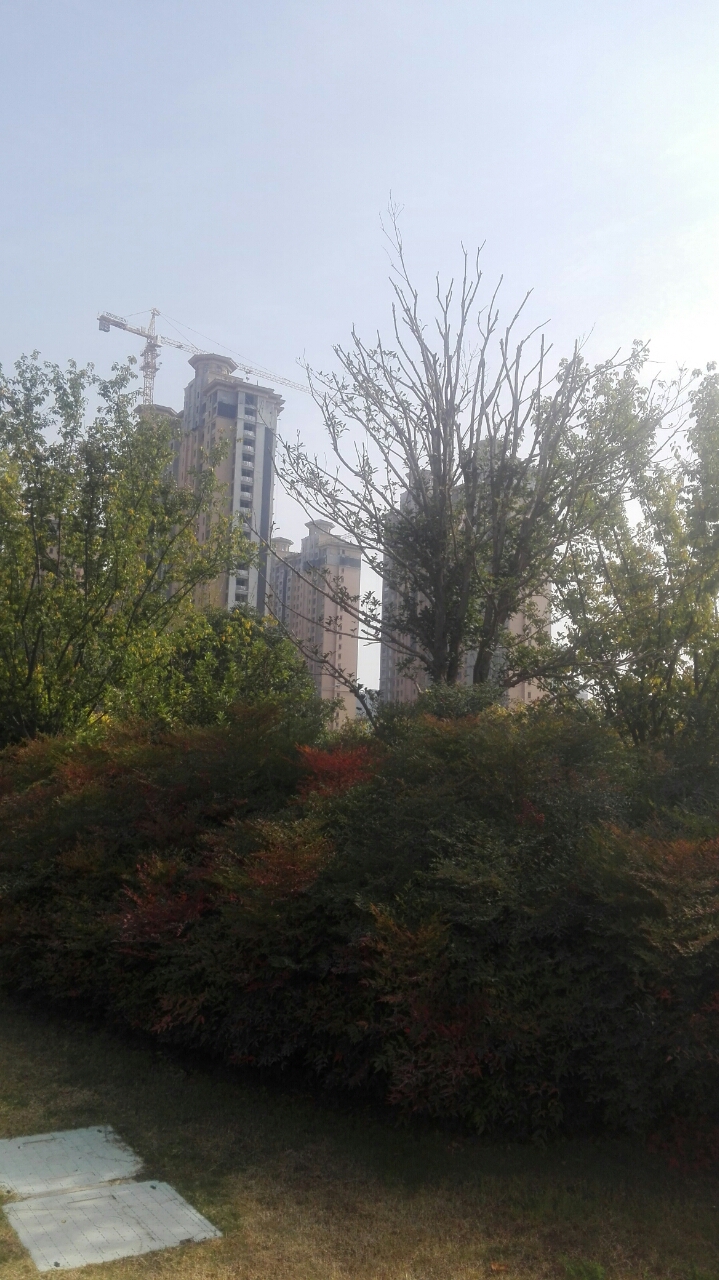 20181023_222105_1540280586634.jpg