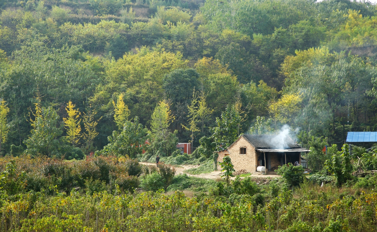 20181023_161040_1540296224057.jpg