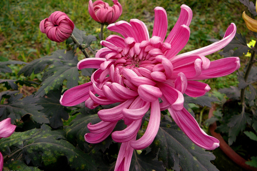 20150929_092549.jpg
