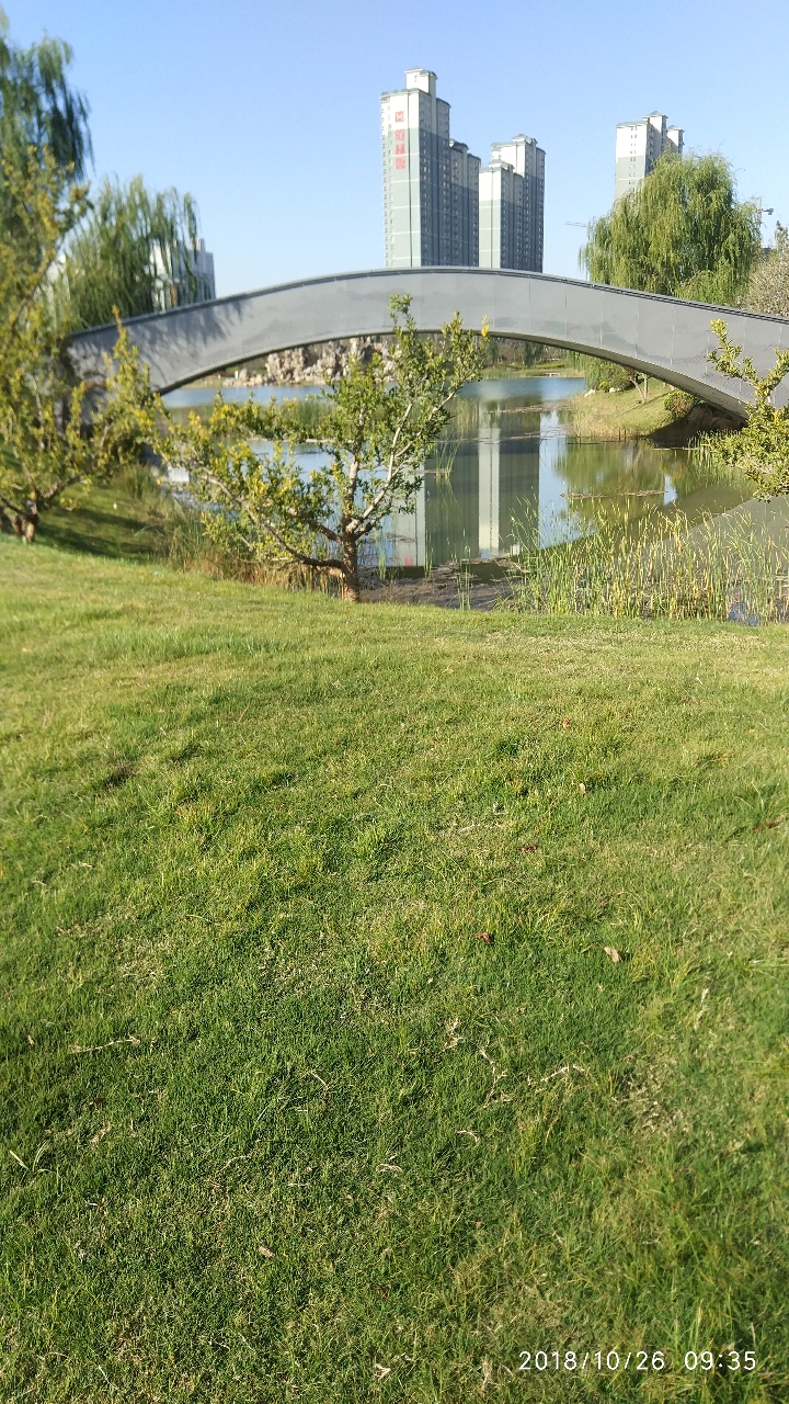 20181026_195627_1540535026369.jpg