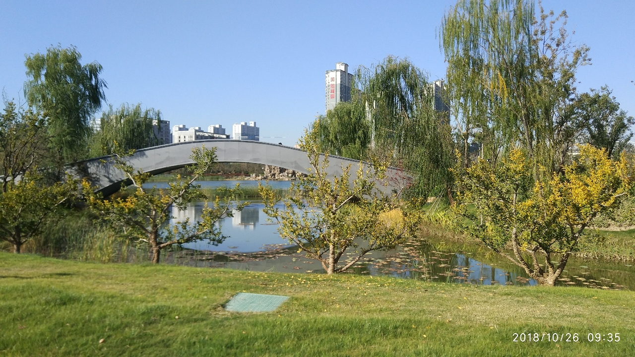 20181026_195627_1540535026875.jpg