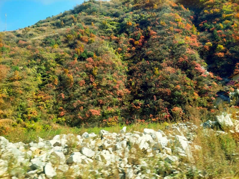 20181029_8888_1540762166223.jpg