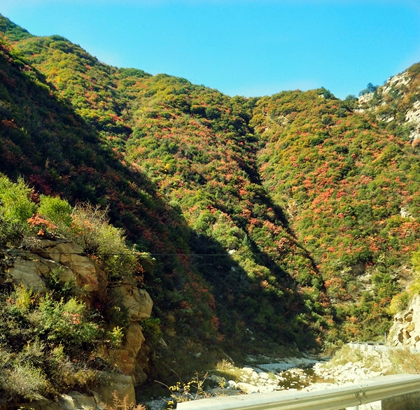 20181029_8888_1540762166155.jpg