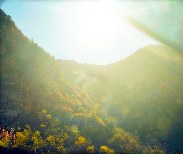 20181029_8888_1540762166193.jpg