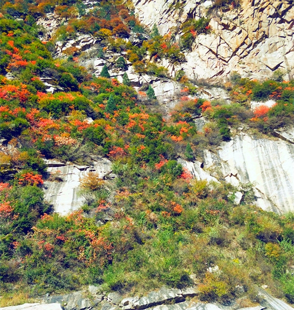 20181029_8888_1540762166112.jpg