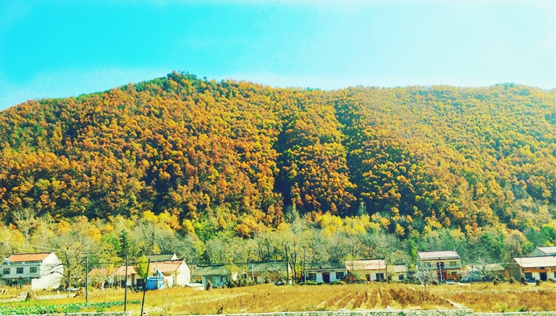 20181029_8888_1540762166272.jpg