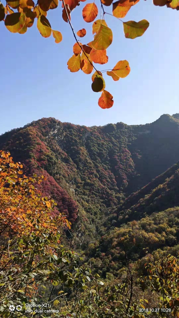 20181030_222869_1540882690728.jpg