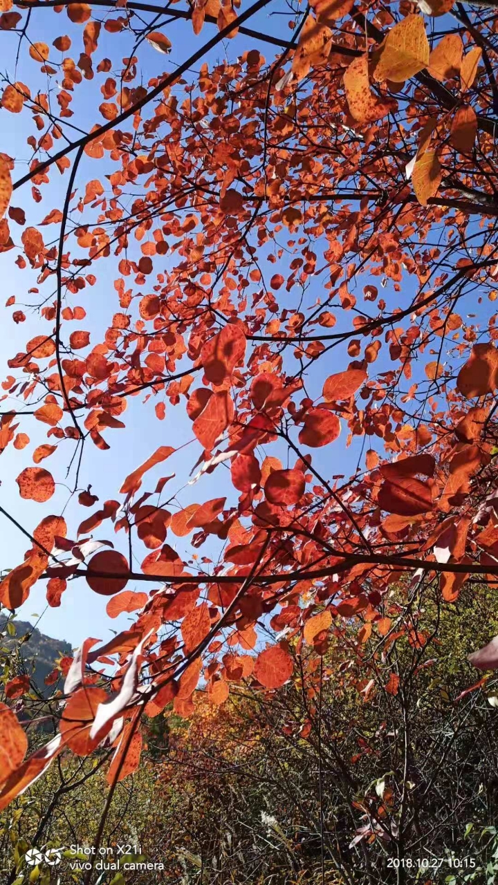20181030_222869_1540882690865.jpg