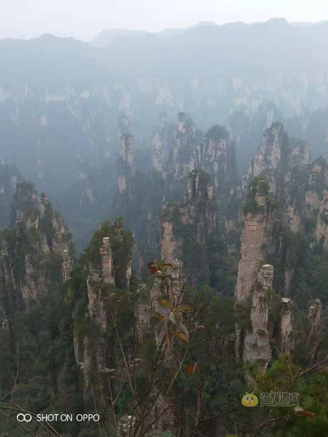 ΢ͼƬ_20181028133619.jpg