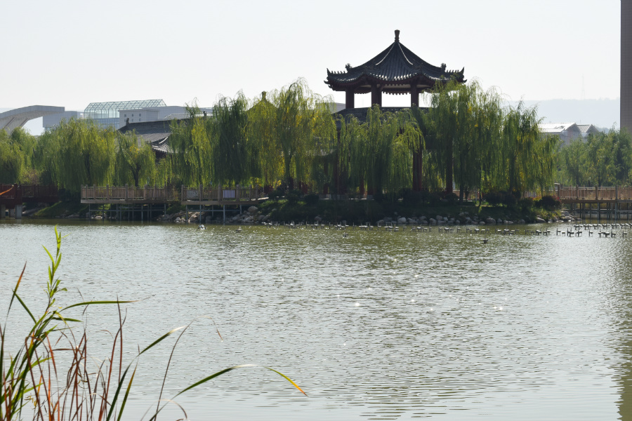DSC_5670.jpg