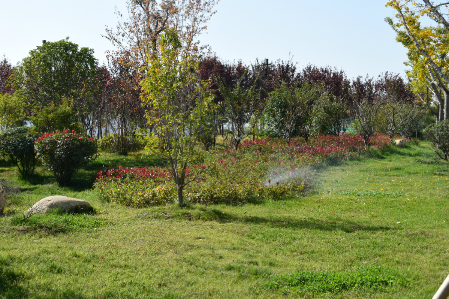 DSC_5682.jpg