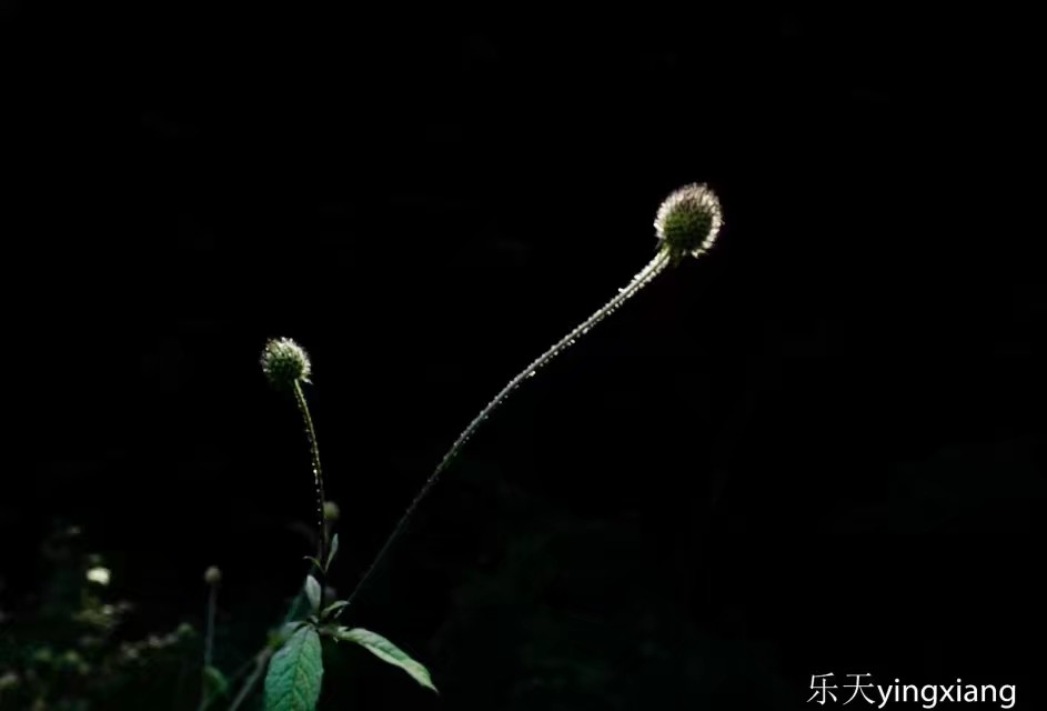 20181102_229264_1541112345909.jpg