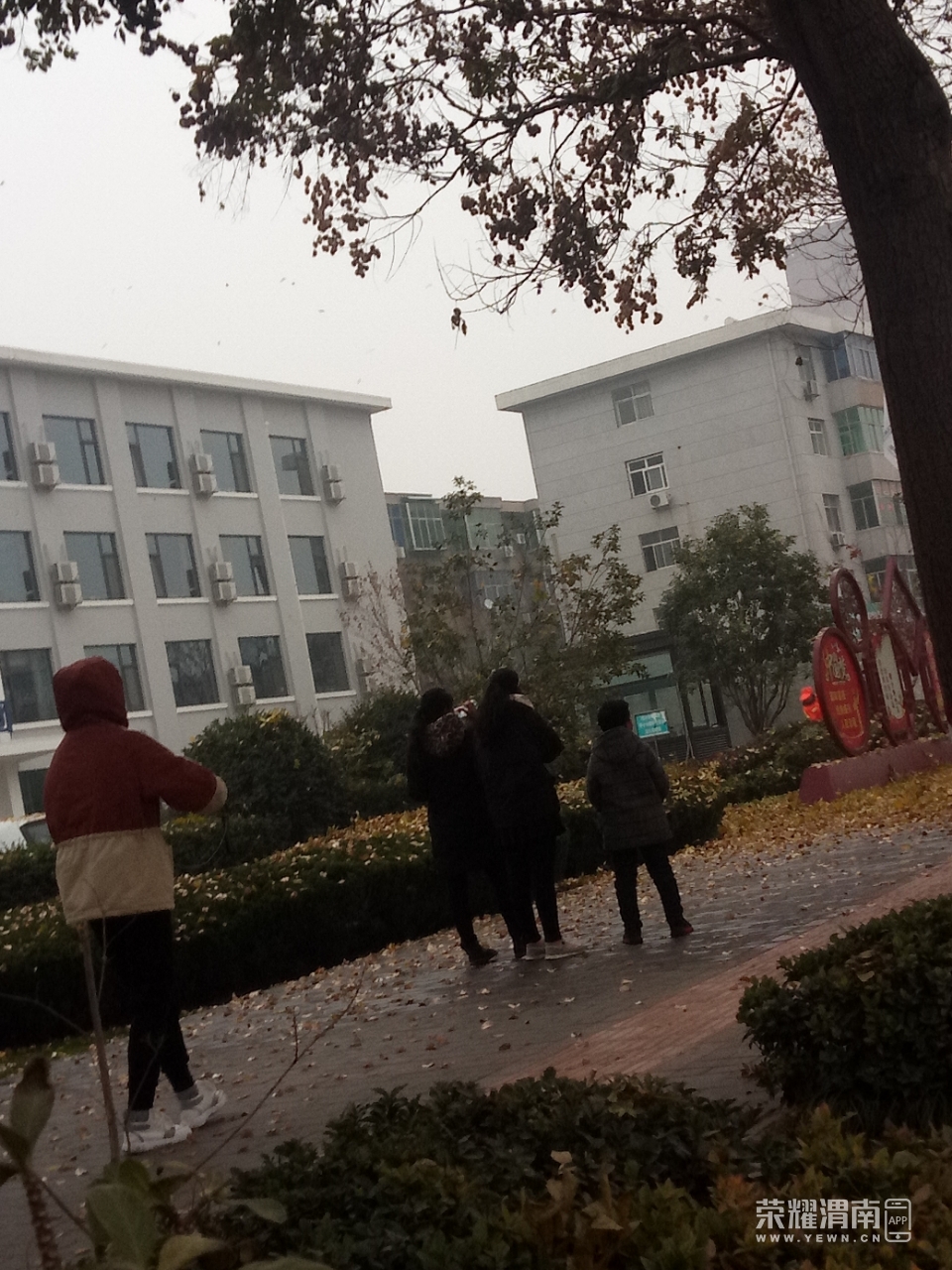 20181201_175700_1543654477316.jpg