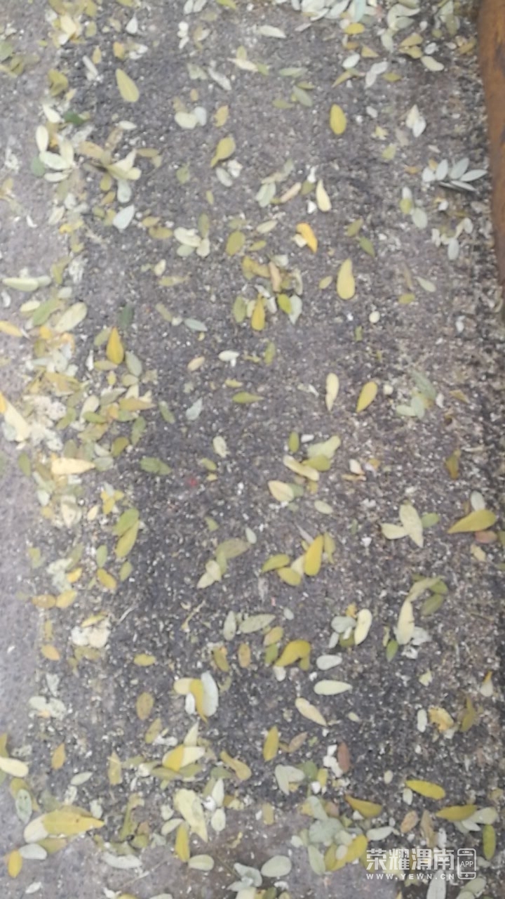 20181207_229060_1544152421193.jpg