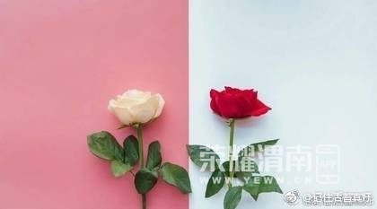 20181207_215146_1544171674940.jpg