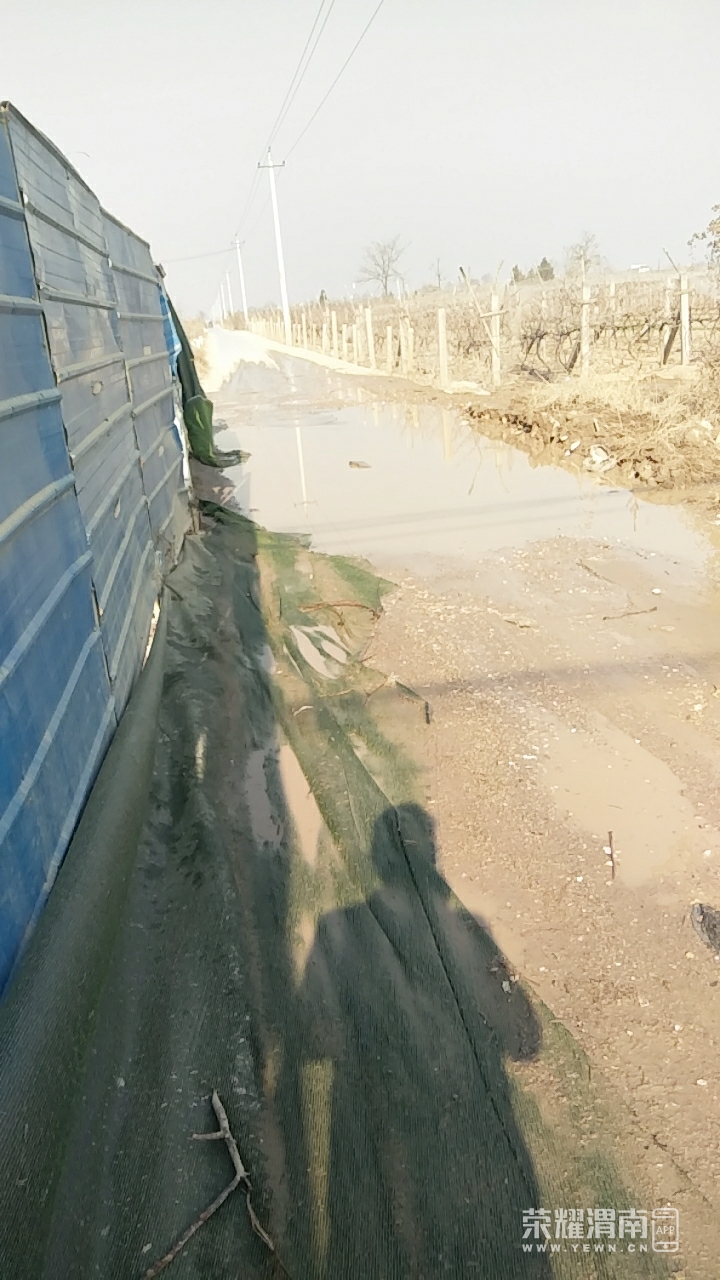 20181218_214481_1545109057294.jpg