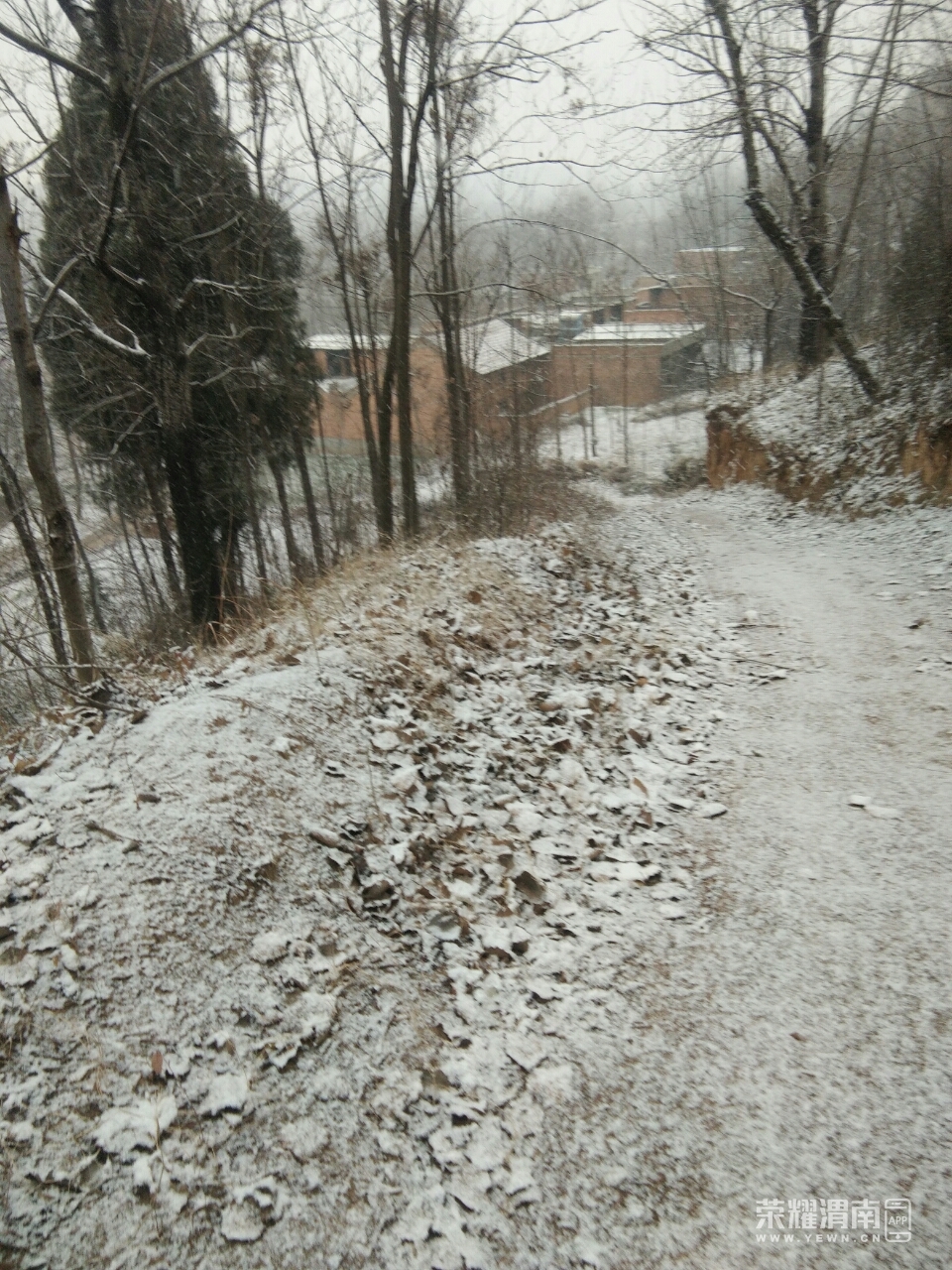 20181227_215814_1545889370474.jpg