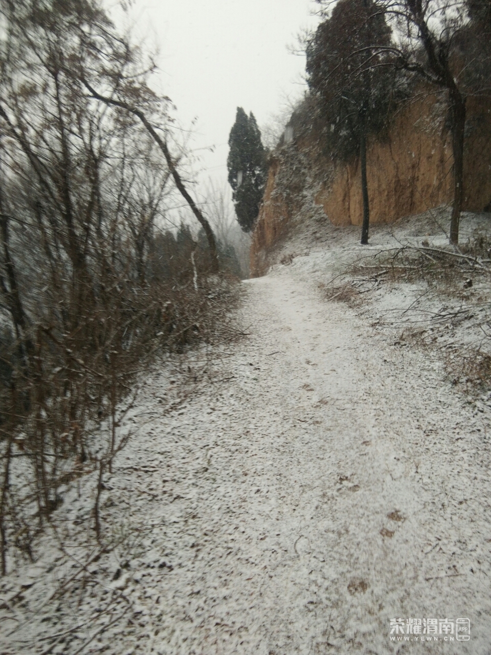 20181227_215814_1545889372110.jpg