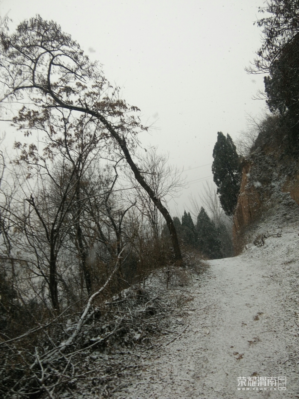 20181227_215814_1545889374904.jpg