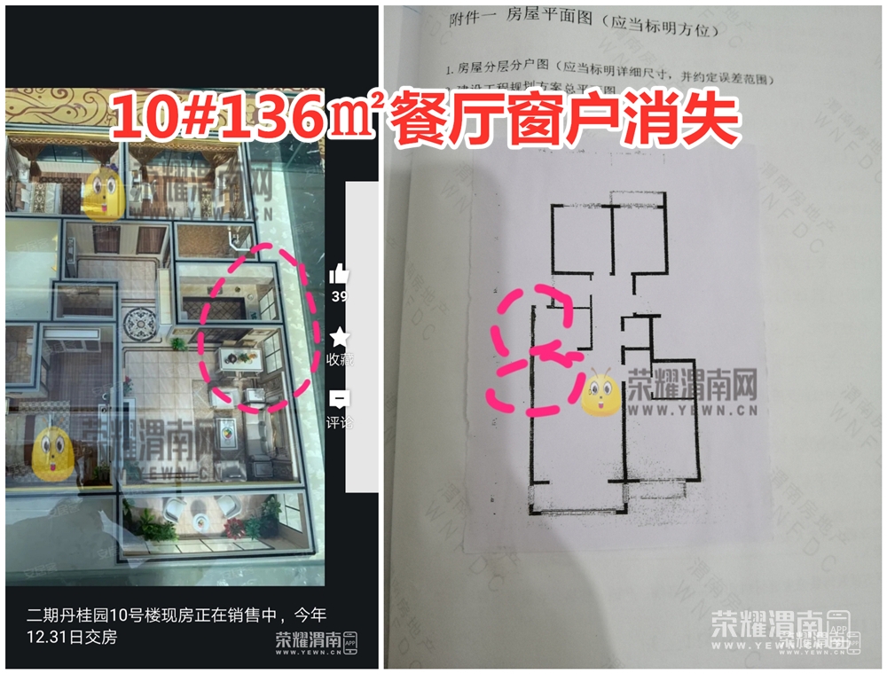 172907vv1xoq1abxz7z7g0_����.jpg