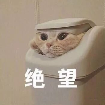 095633z0kj3rrdnqlxk34h.jpg