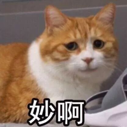 095640tjjb3j3b35r3bjjz.jpg