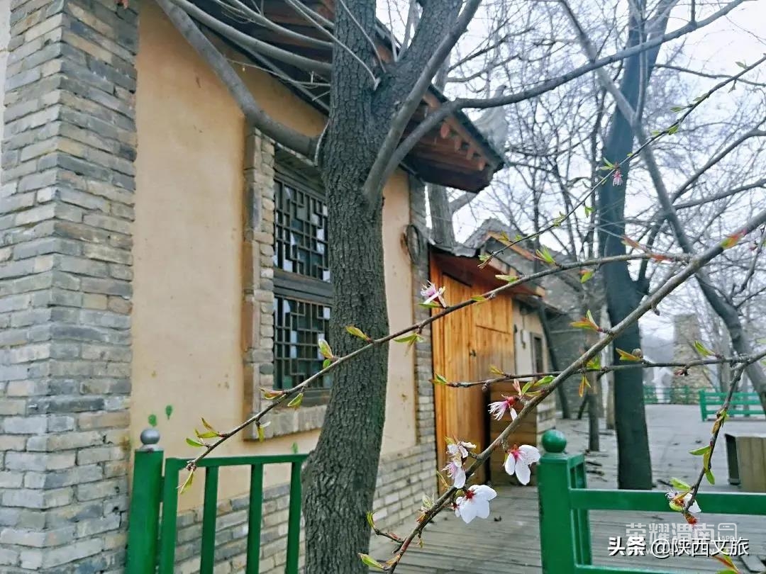 ΢��ͼƬ_20200309144602.jpg