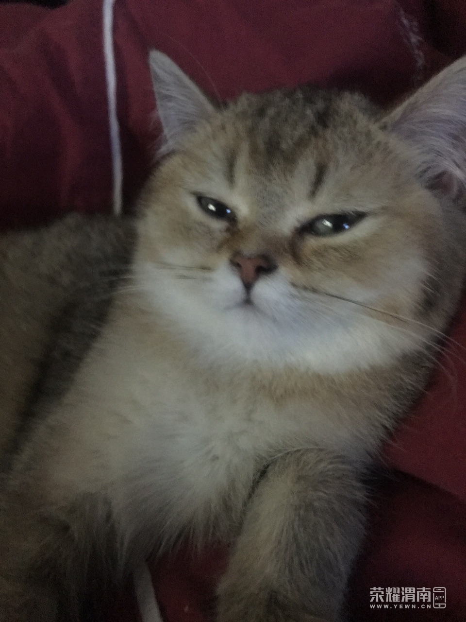 Fntg_l6Udl7jgHi3RBVBwjS9UpX4.jpg