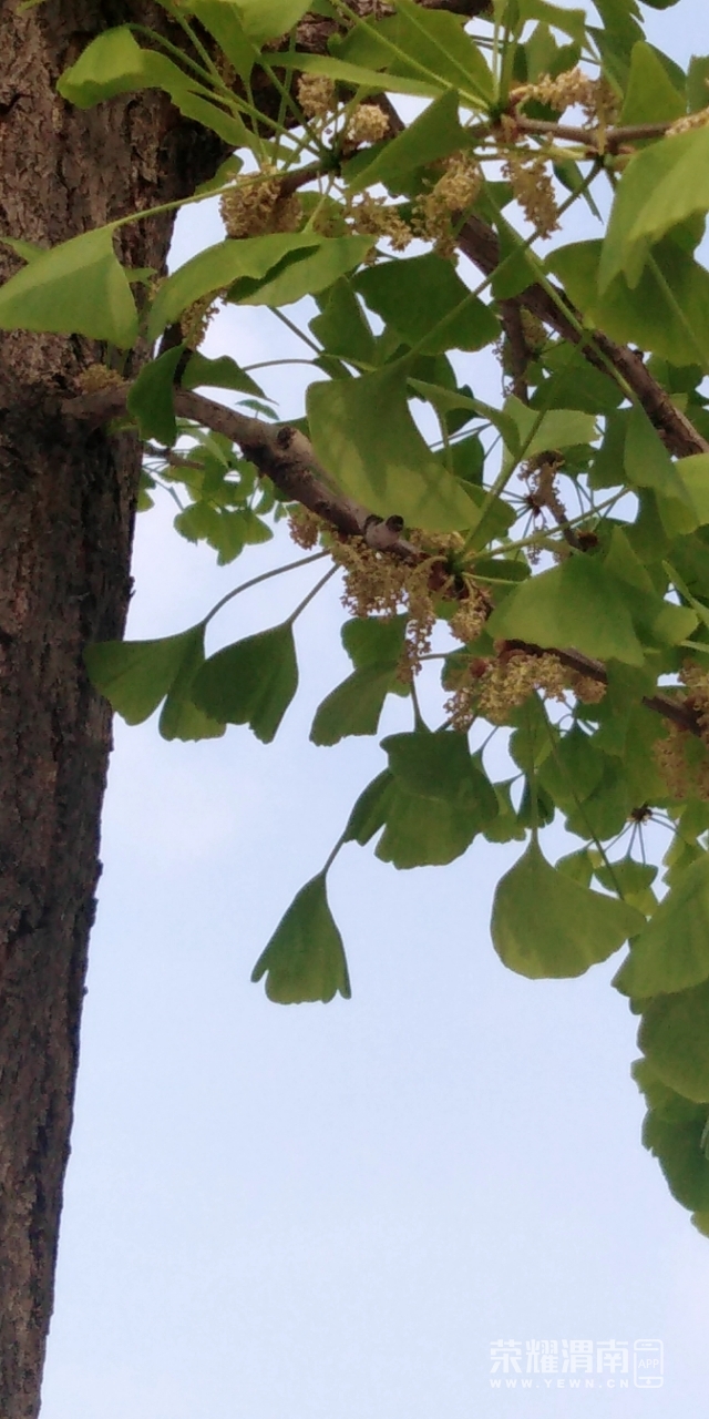 20200402_226056_1585813255090.jpg