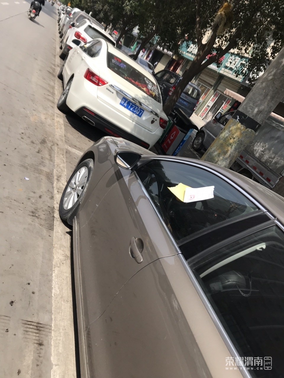 Fpt6qTCnYjii8hhMpU4Kx90OFee8.jpg