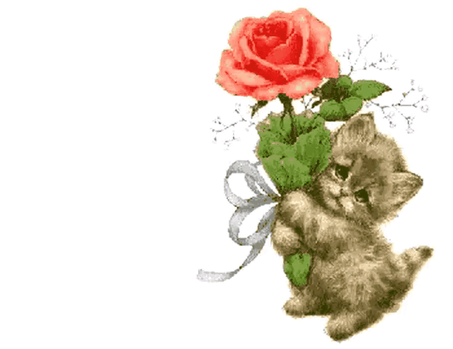 20200414_215146_1586844106435.gif
