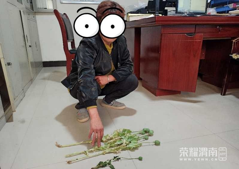142543yncfcyckxyfmnlcm.jpg