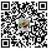 094905peqqkiezuk8bl5zz.jpg