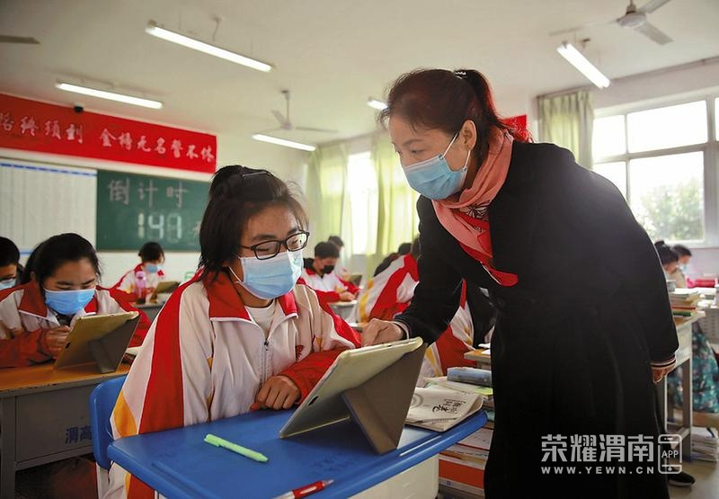 150865_800x800 (1).jpeg