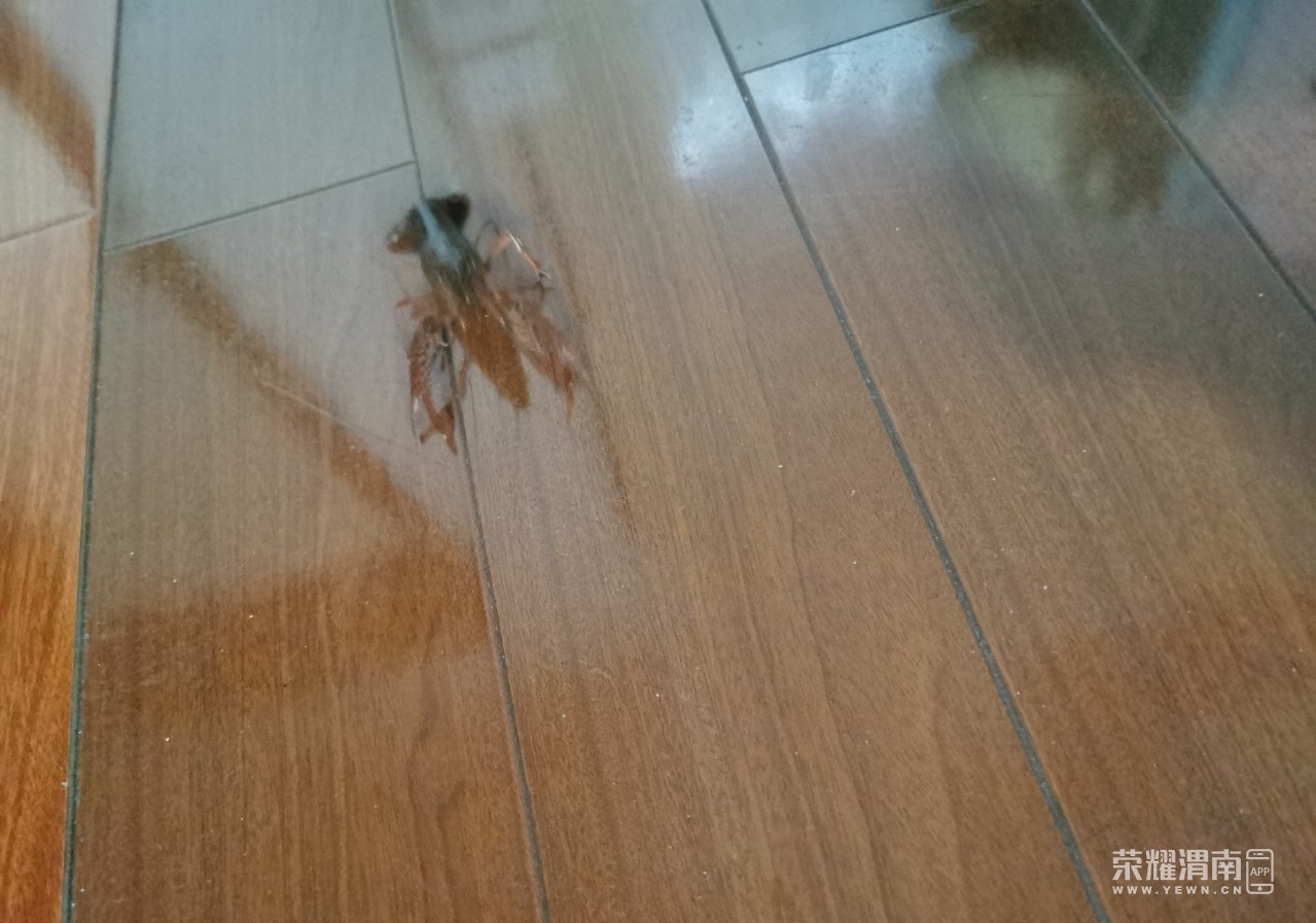 ΢��ͼƬ_20200507105411.jpg
