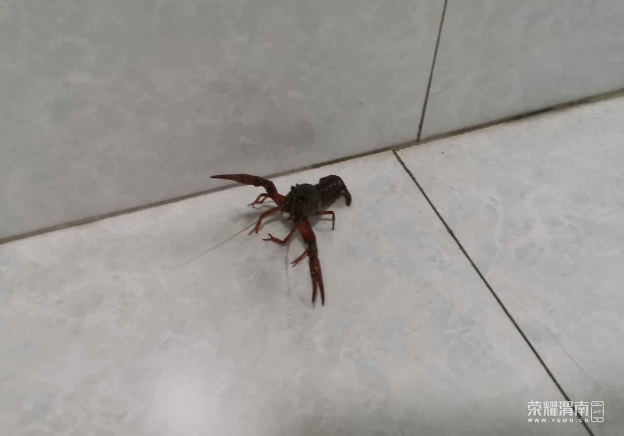 ΢��ͼƬ_20200507105418.jpg