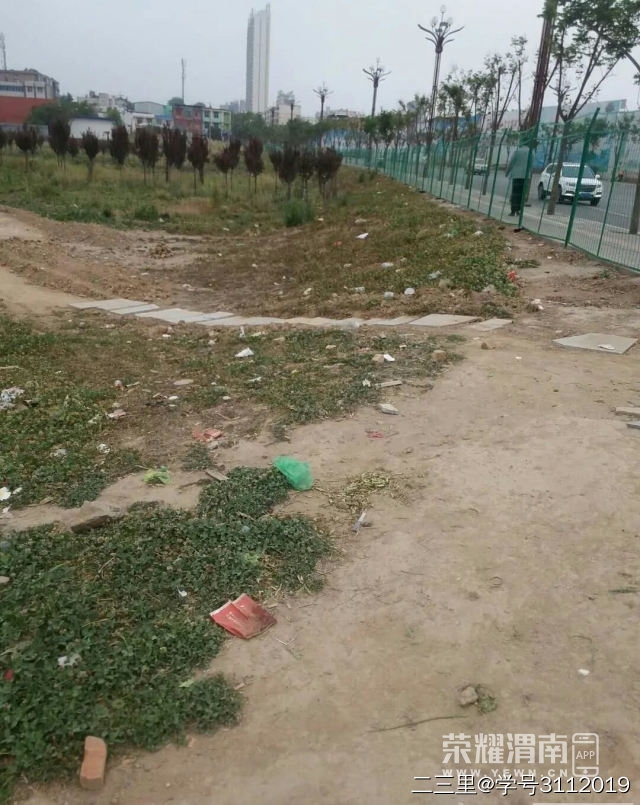 05.jpg