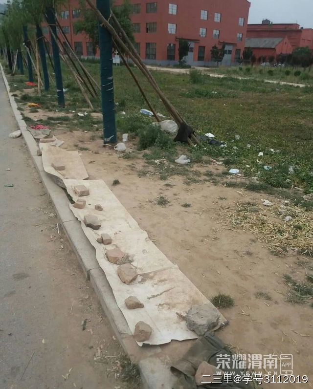 03.jpg